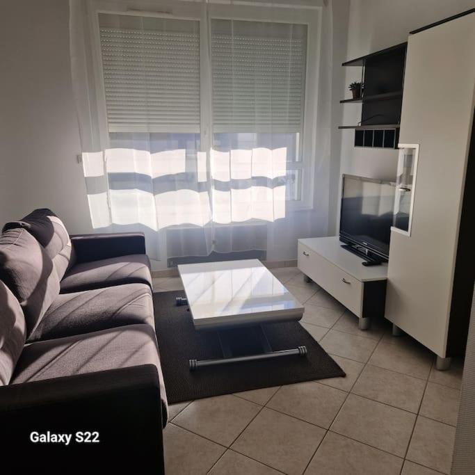 Appartement Spacieux T3 Lumineux Avec Balneo A 5min De La Gare